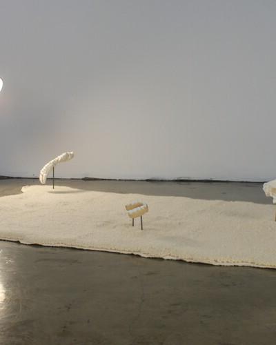 Emily Newman's "The Misrepresentation of Objects on Carpet"